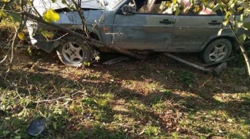 Kontrolden Çıkan Otomobil Tarlaya Uçtu