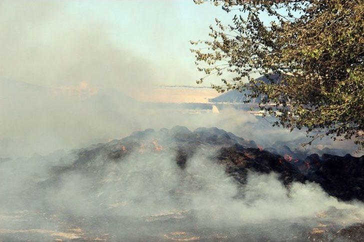 Şanlıurfa’da Çıkan Yangında Tonlarca Saman Kül Oldu G1