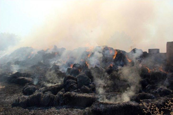 Şanlıurfa’da Çıkan Yangında Tonlarca Saman Kül Oldu G4