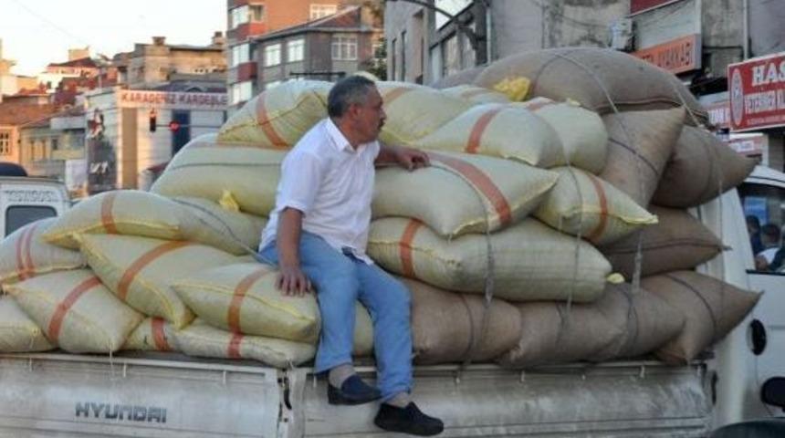 Albayrak: Tefeciler Fındık Fiyatını 3 Liraya Kadar D&uuml;ş&uuml;rd&uuml;