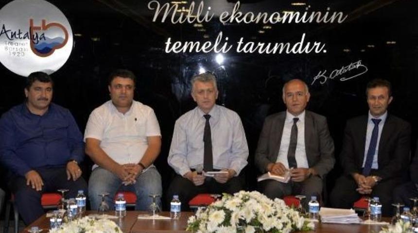 Rusya'ya 'domates' Tepkisi