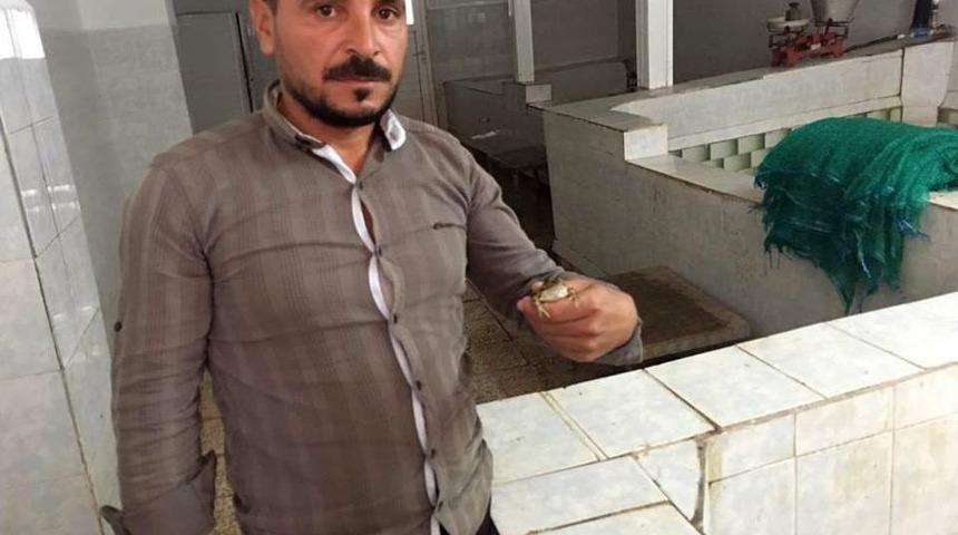 Avrupa, Ergene&rsquo;den &Ccedil;ıkan Kurbağa Bacaklarını Yemiyor