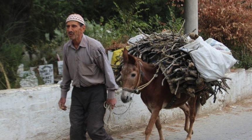 Aydın&rsquo;da K&ouml;yl&uuml;ler Kış Hazırlıklarına Başladı