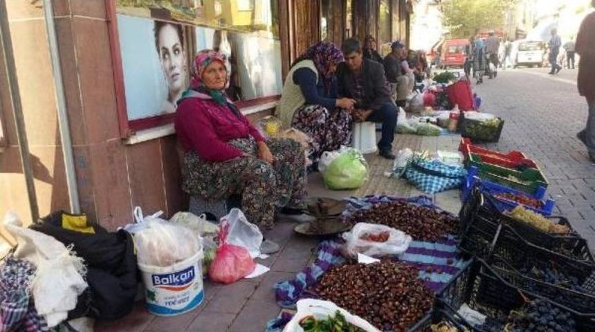Kazdağı Kestanesinin Fiyatı 3 Liraya D&uuml;şt&uuml;