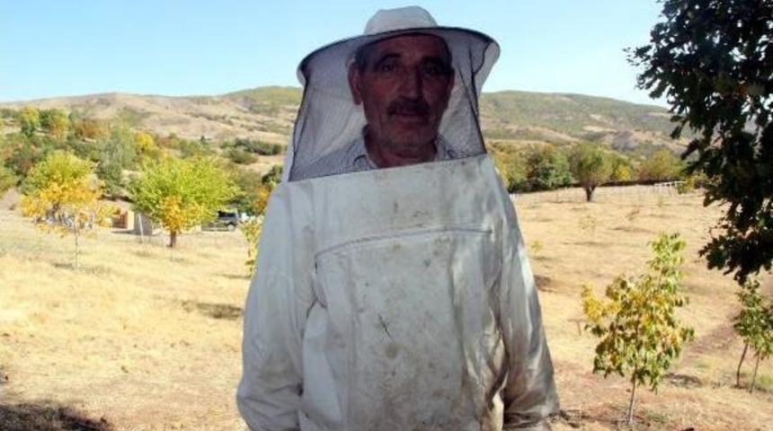 Bing&ouml;l'de, &Ouml;d&uuml;ll&uuml; Arıcının Bal Kovanlarına Ayılar Saldırdı