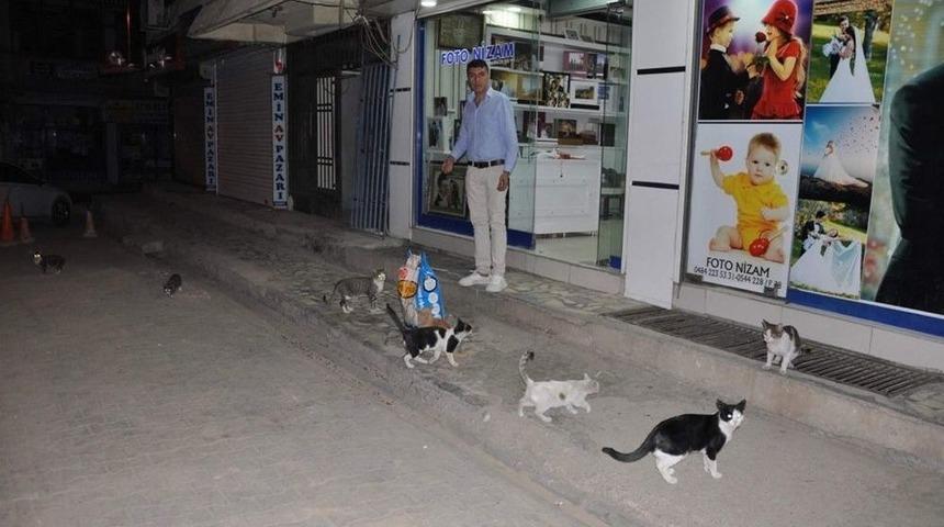 Siirt&rsquo;te Sokak Hayvanları Unutulmadı