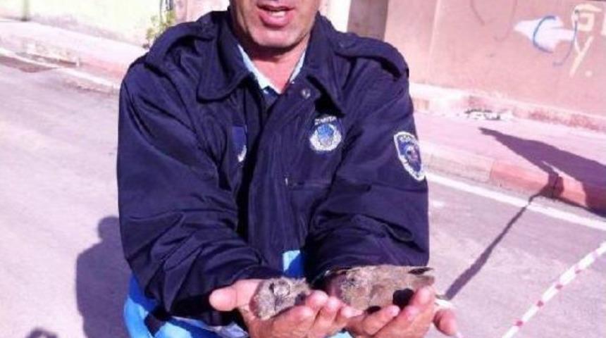 Kuş Yuvası, Yıkımı Durdurdu