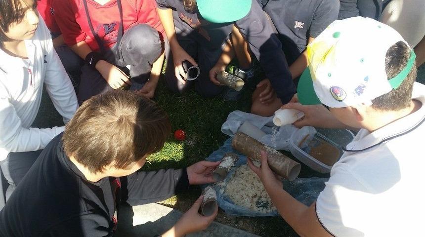 Atıklar Kuş Yemi Oldu