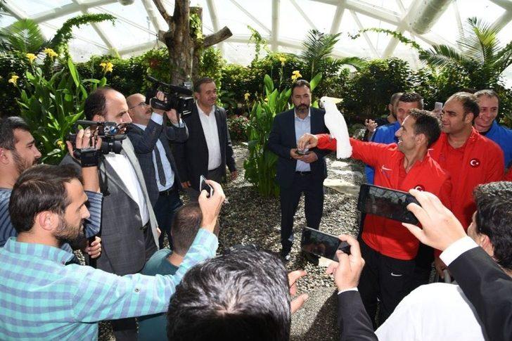 Avrupa’nın En Büyük Kupası Avrupa’nın En Büyük Kelebek Bahçesi’nde G4