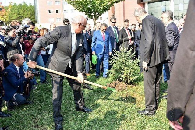 Bakan Demircan Ve Samsun Protokolü Çam Fidanı Dikti