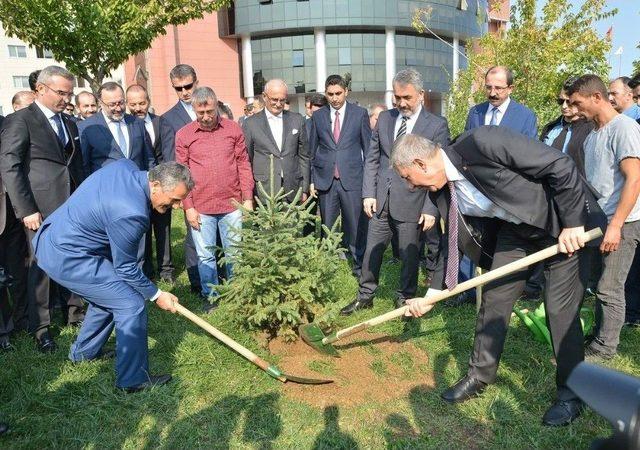 Bakan Demircan Ve Samsun Protokolü Çam Fidanı Dikti