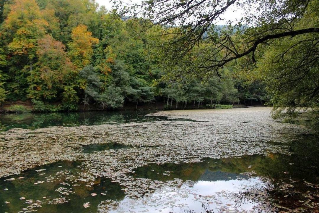 Yedig&ouml;ller&rsquo;de Sonbahar Manzarası Hayran Bırakıyor