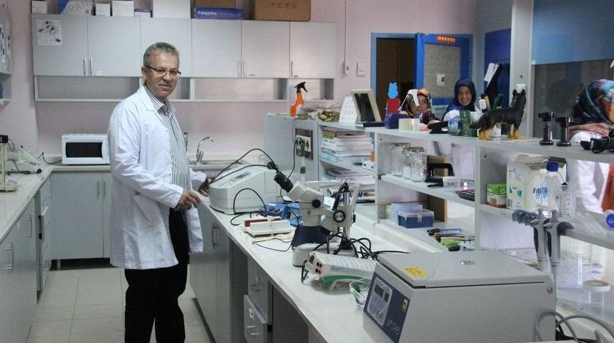 (&ouml;zel Haber) Pamukta Kullanılan Zirai İla&ccedil;larla İlgili A&ccedil;ıklama