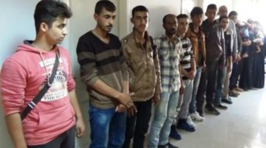 İskenderun&rsquo;da 16 Ka&ccedil;ak G&ouml;&ccedil;men Yakalandı