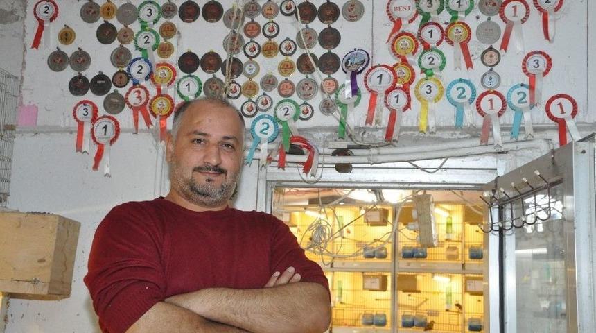 En İyi Dostu Hayvanlar