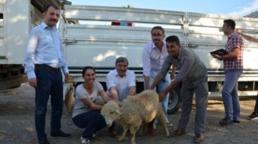 K&ouml;yceğiz&rsquo;de Gen&ccedil; &Ccedil;ift&ccedil;ilere Hibe Desteği