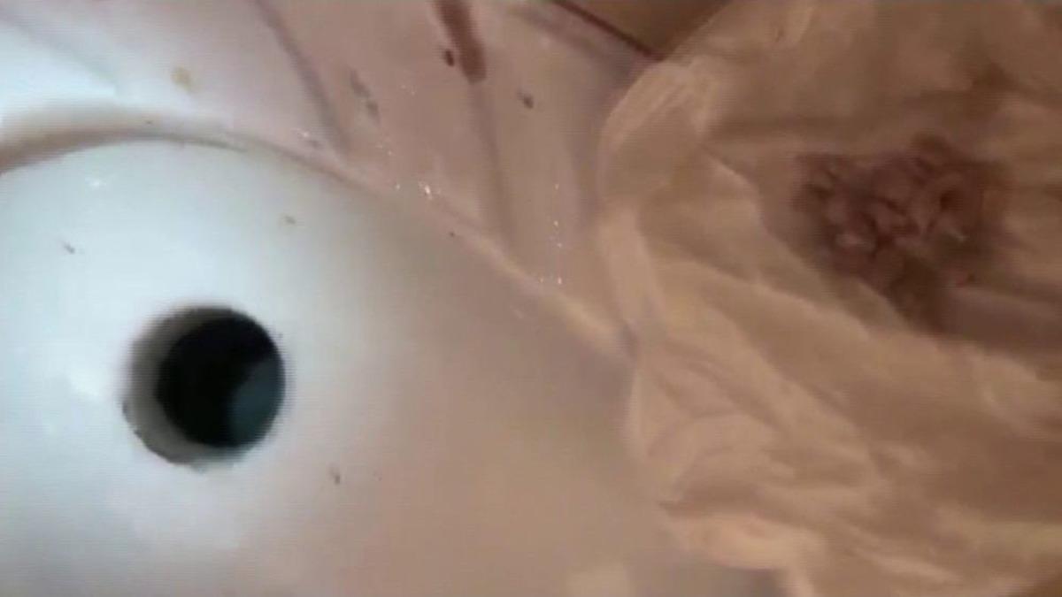 Tuvalet Deliğinde Ve Oyuncak Ayı İ&ccedil;inde Eroin Ele Ge&ccedil;irildi