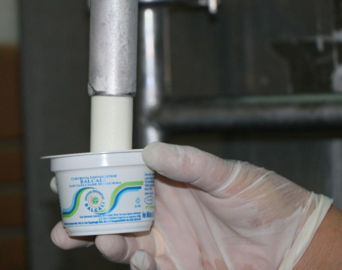 (&ouml;zel Haber) Akademik Mandıradan Doğal Lezzetler