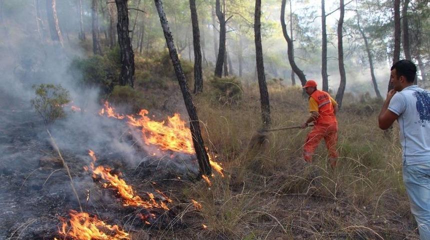 Antalya&rsquo;da 3 Ayrı Noktada Orman Yangını