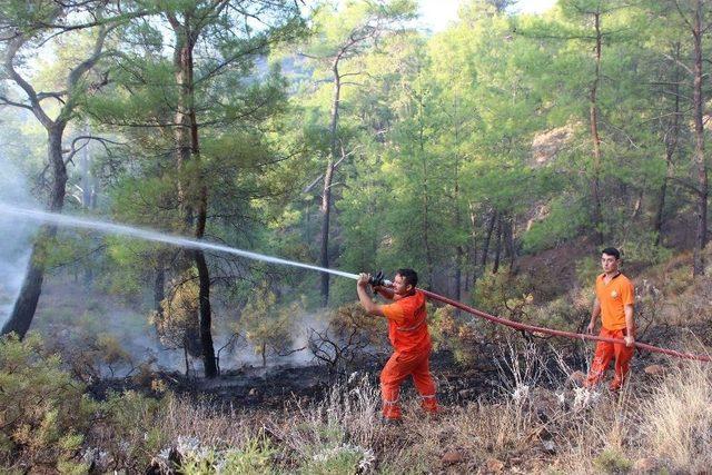Antalya&rsquo;da 3 Ayrı Noktada Orman Yangını 2