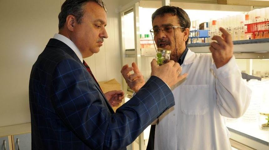 Mersin Valisi Ali İhsan Su Erdemli&rsquo;de İncelemelerde Bulundu