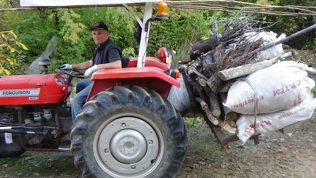 Simavlı Kestane Üreticileri Endişeli