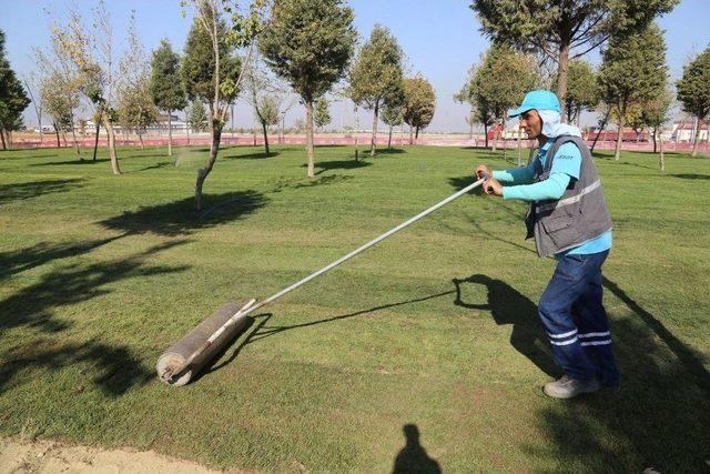 Irlamaz Vadisi Yeniden Doğuyor 1