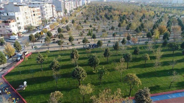 Irlamaz Vadisi Yeniden Doğuyor 2