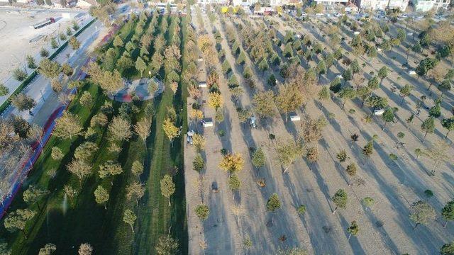Irlamaz Vadisi Yeniden Doğuyor 3