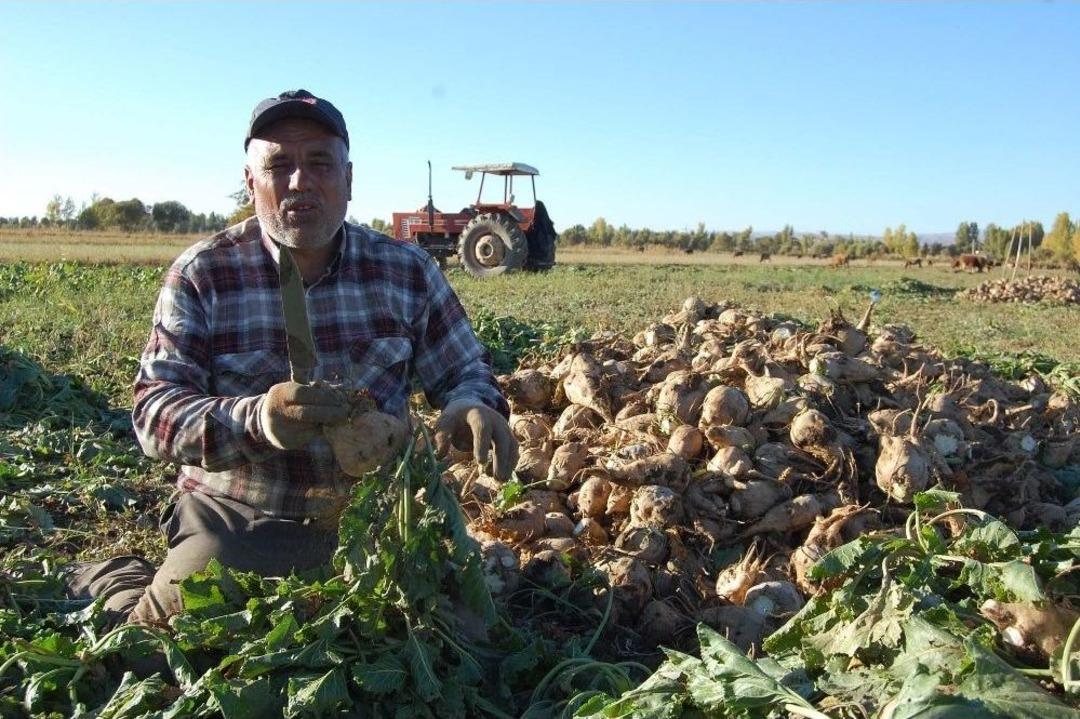 Bitlis&rsquo;te Şekerpancarı Hasadına Başladı