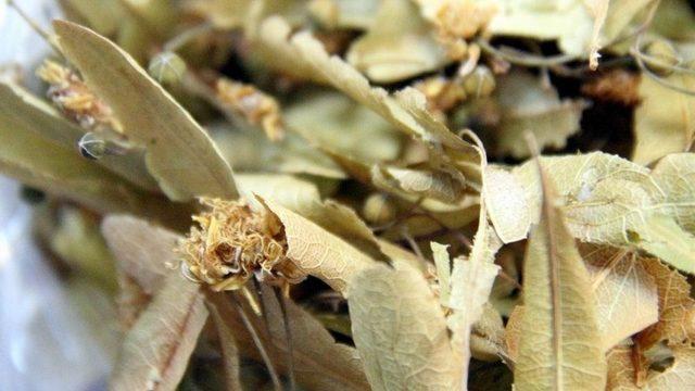 Çiçek Ihlamurun Kilosu 200 Tl