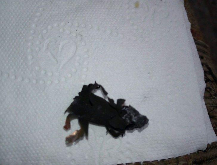 Kömür Sobası Patladı: 1 Yaralı G1