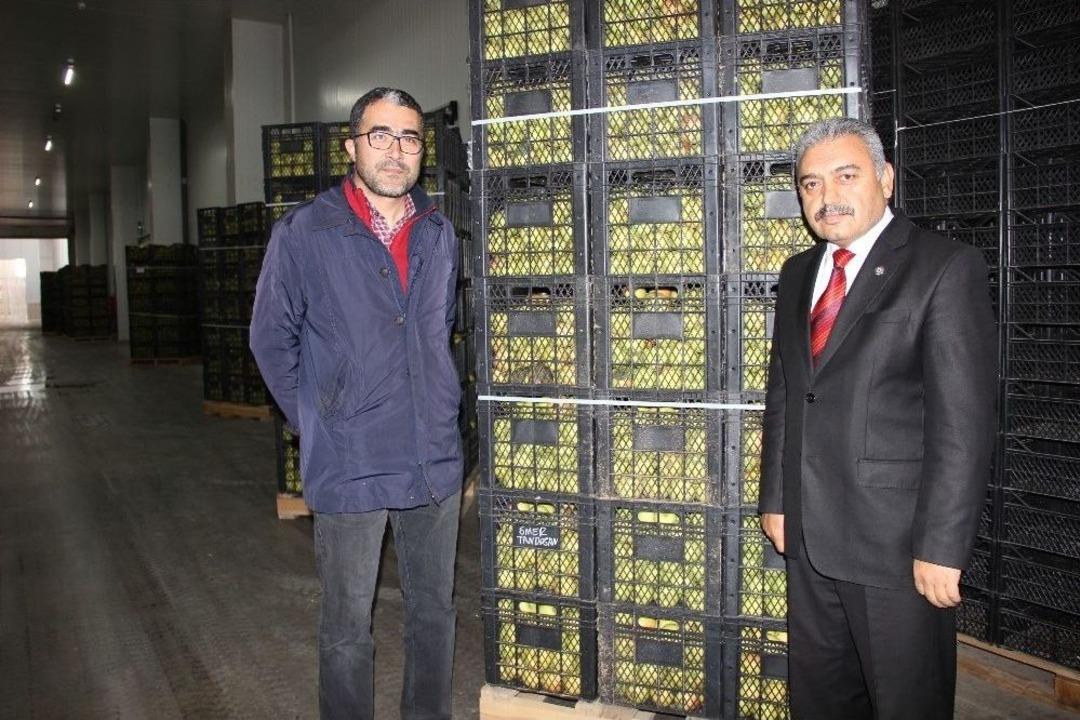 Karaman&rsquo;da Elma, Soğuk Hava Depolarına Girmeye Başladı