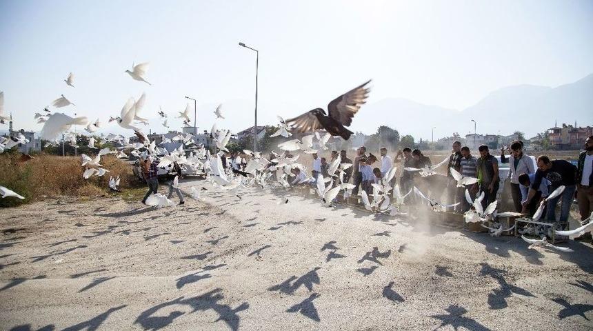500 Güvercin, Dostluk İçin Havalandı