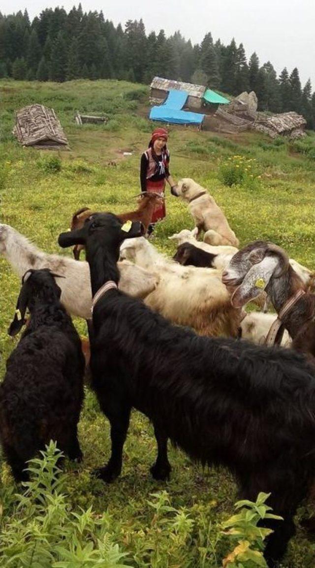 Rizeli Heidi Cumhurbaşkanı Erdoğan’ın Konuğu Olacak