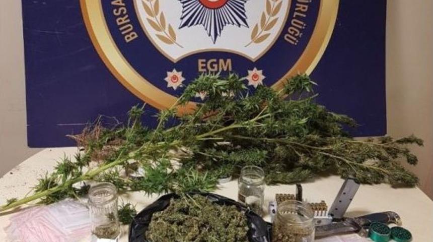 Bursa&rsquo;da Uyuşturucu Operasyonunda 7 G&ouml;zaltı