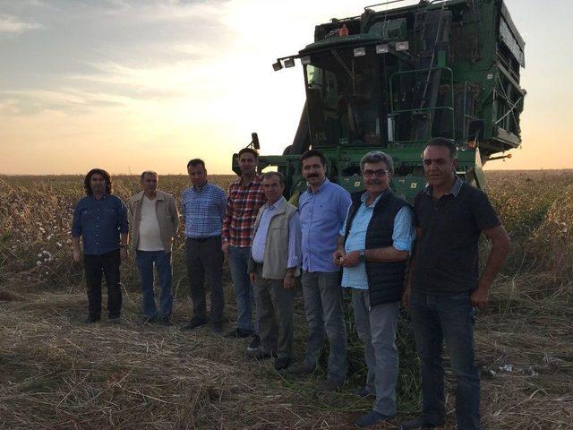 Başkan G&uuml;len&ccedil;, Pamuk Hasadını İnceledi 1