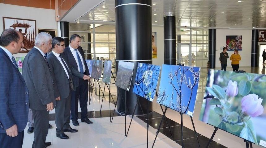 En G&uuml;zel Meyve &Ccedil;i&ccedil;eği Fotoğraflarına &Ouml;d&uuml;l