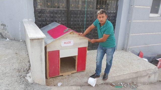 &Ccedil;alınan K&ouml;peğini Bulana Para &Ouml;d&uuml;l&uuml; Verecek 1