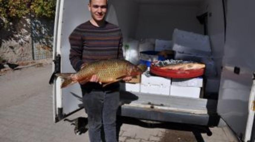 15 Kiloluk Sazan Balığı Pazarın Gözdesi