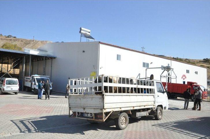 Kırsal Kalkınma Desteği İle 4,5 Milyonluk Kesimhane Kurdu G4