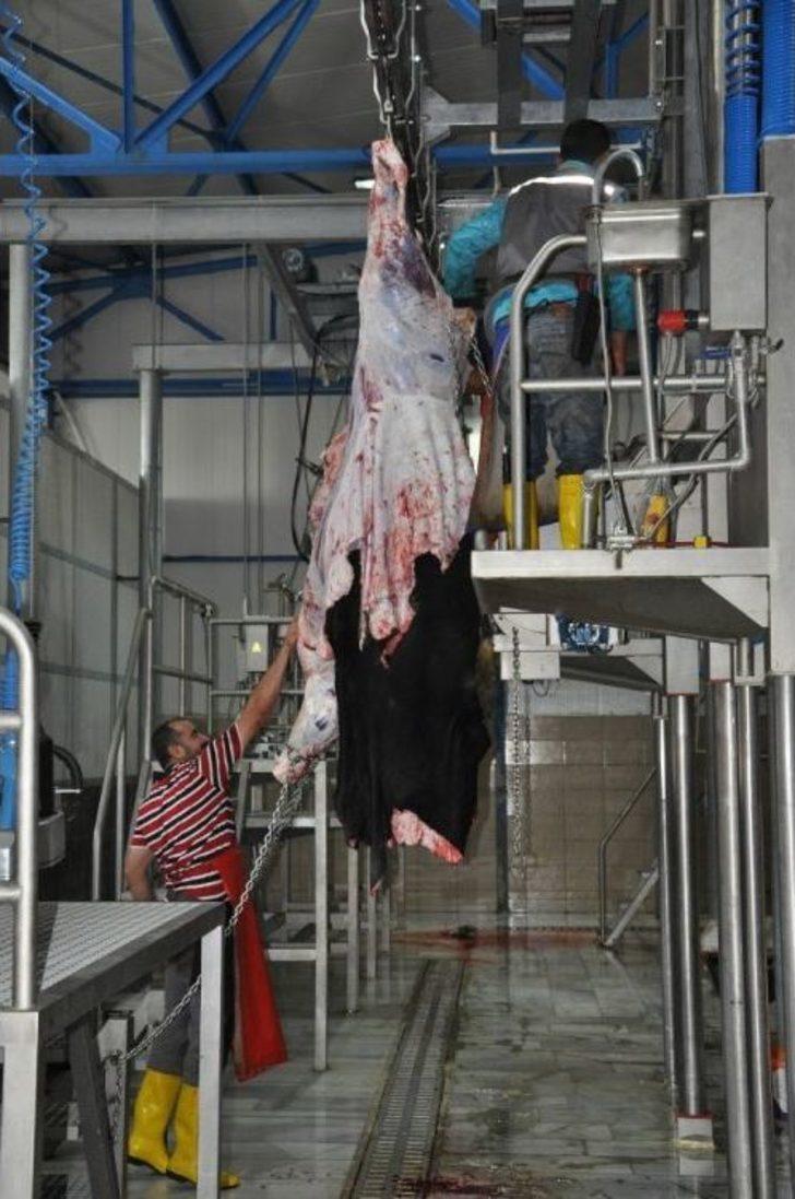 Kırsal Kalkınma Desteği İle 4,5 Milyonluk Kesimhane Kurdu G5