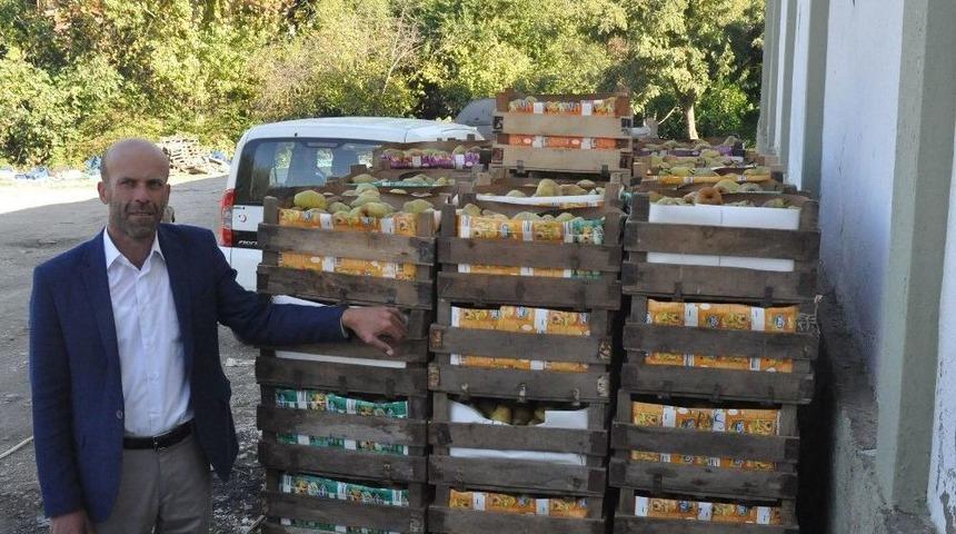 Soğuk Hava Depoları Doldu