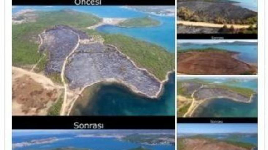 Ayvalık Yangınının İzleri Siliniyor