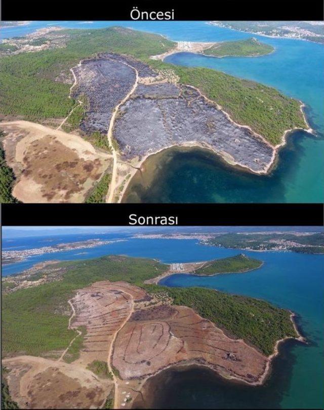 Ayvalık Yangınının İzleri Siliniyor 2