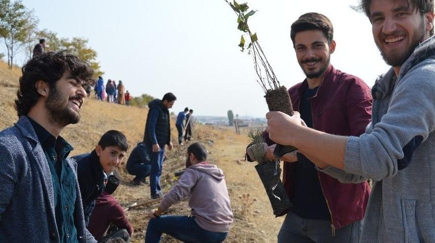 Ağrı&rsquo;da Y&uuml;zlerce Fidan Toprağa Ekildi