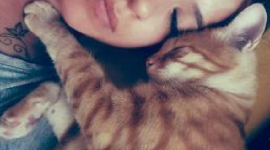 &ldquo;dost Hareketi&rdquo; Yarışması&rsquo;nın Galibi İstanbul&rsquo;dan