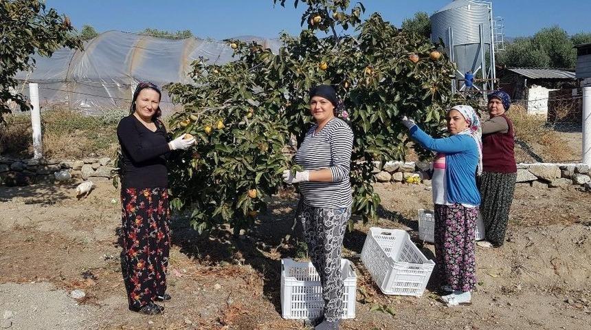 ‘cennet’ten Gelen Tatlar’ Projesi İle Emine Erdoğan’ın Dikkatini Çekti