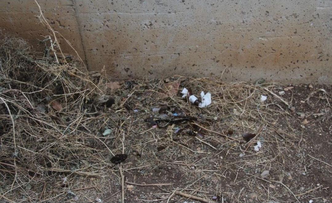 Okul Bah&ccedil;esinde &Ouml;ğrenciler 7 Molotof Buldu