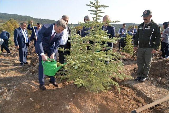 Muhtarlar Hatıra Ormanı’na 3 Yüz Adet Fidan Dikildi